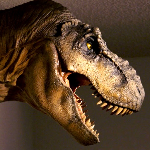 Pet T-Rex icon