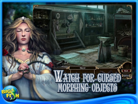 Dark Parables: Curse of Briar Rose Collector's Edition HD screenshot 3