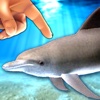 Dolphin Fingers! 3D Interactive Aquarium
