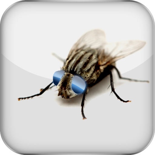 JumiFly - A fake fly turns into an addictive fun prank to play on the PC desktop / background Icon