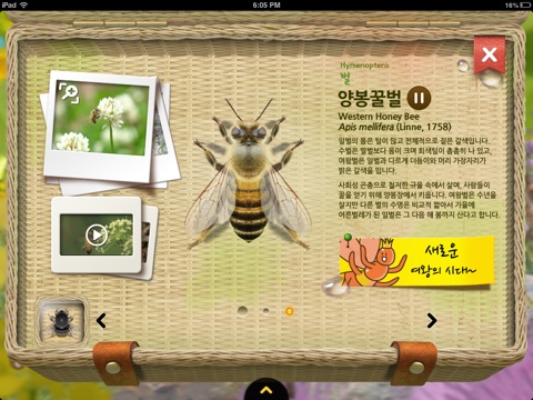 물과 들에 사는 곤충 screenshot 3