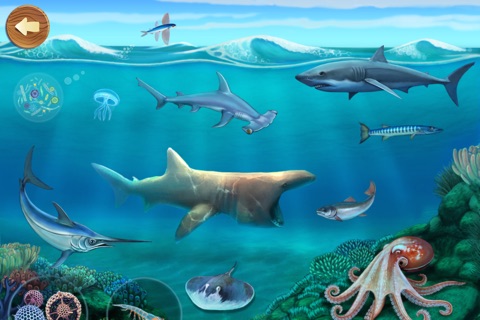 Тайны моря screenshot 2