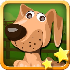 Activities of Animal Memory Match for kids game quiz HD