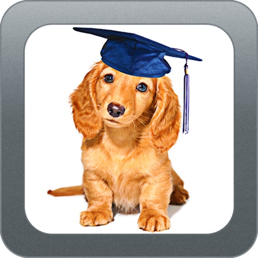 Dog Training Videos iOS App