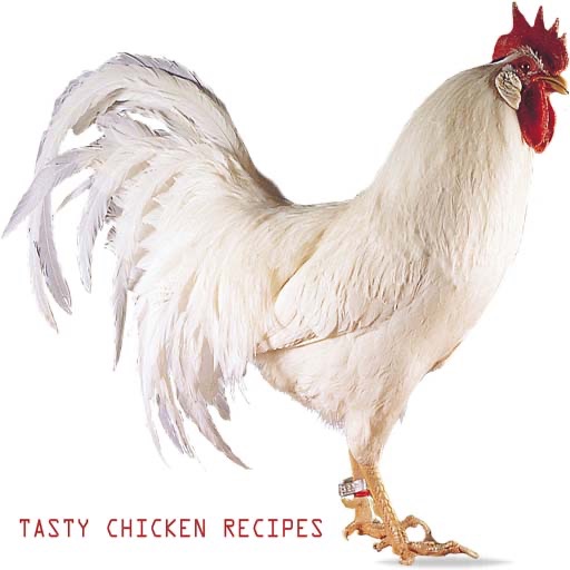 Tasty Chicken Recipes icon