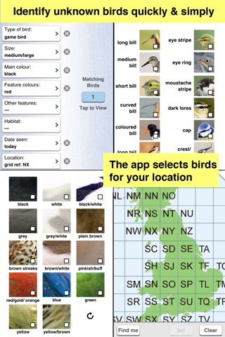 Birds of Britain Pocket Guide screenshot 3