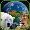 Amazing Earth 3D: Wild Friends