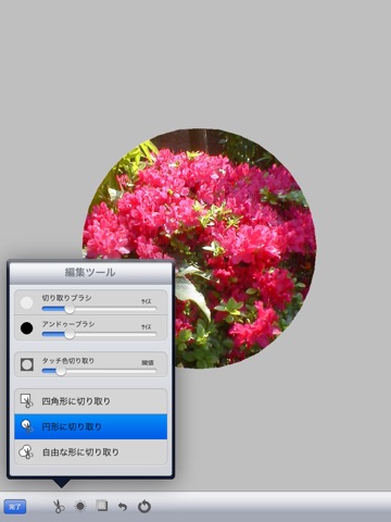 CollageEditor for iPad screenshot 3