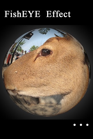 FishEye Camera Lens Pro screenshot 2