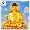 Cốt Lõi Của Cội Bồ Đề - Sách Nói Phật Giáo - Cot Loi Cua Coi Bo De
