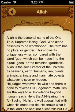 Introduction to Islam screenshot 3