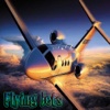Flying Jets