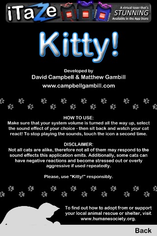 Kitty! Annoy your cat!