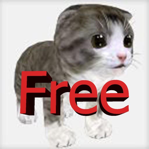 Talking friend kitten 3D free Icon