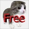 Talking friend kitten 3D free