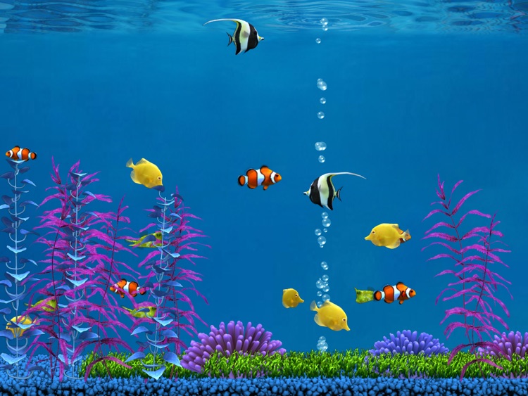  Gambar  Ikan  Animasi Bergerak  Gambar  Ikan  HD