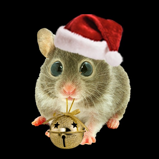 Hamster Holidays icon