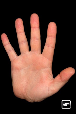 iFive