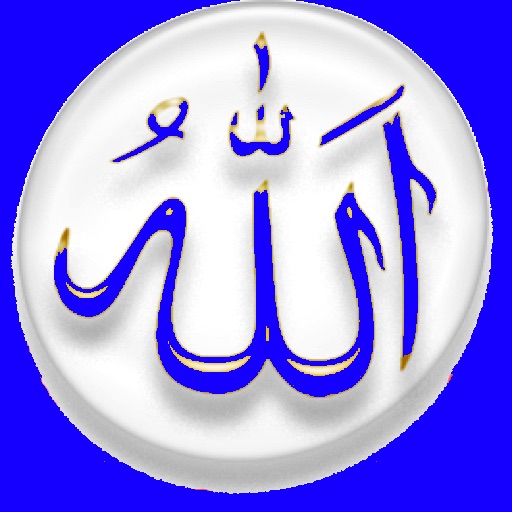 Daily Hafiz icon