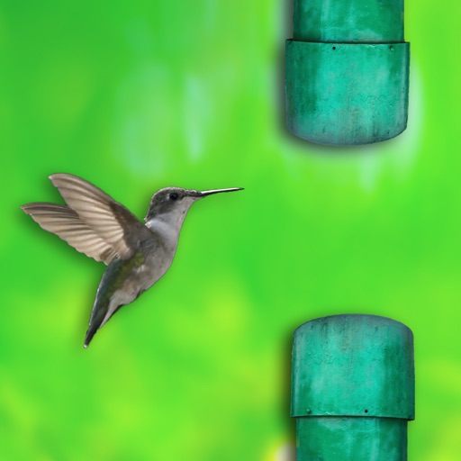 Real bird: Tap to fly! icon