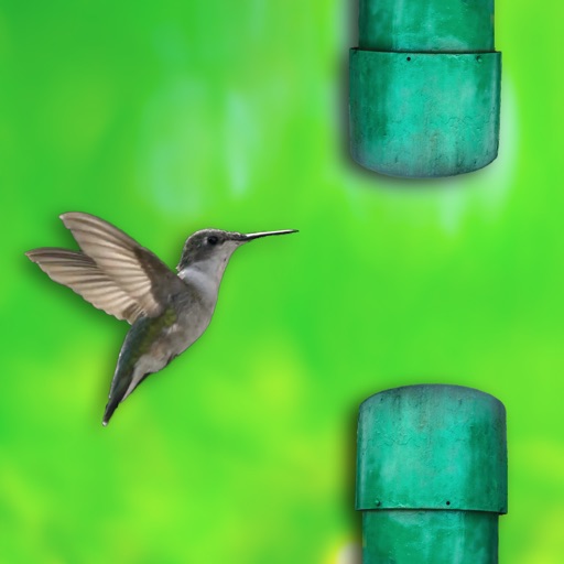 Real bird: Tap to fly!