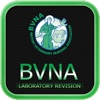 BVNA Laboratory Revision