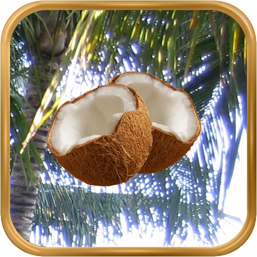 Coconut icon