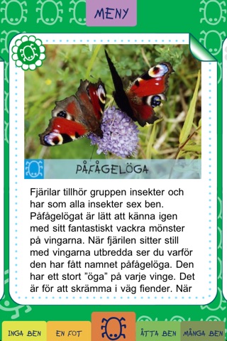 Min första småkrypsapp screenshot 2