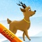 Reindeer Race and Jump agility obstacle course : Training for Christmas Day - Free