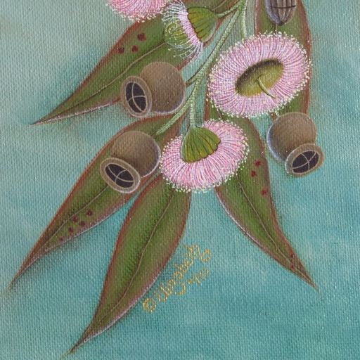 Eucalyptus, Gumnuts and Blossoms Pattern Pack for iPad