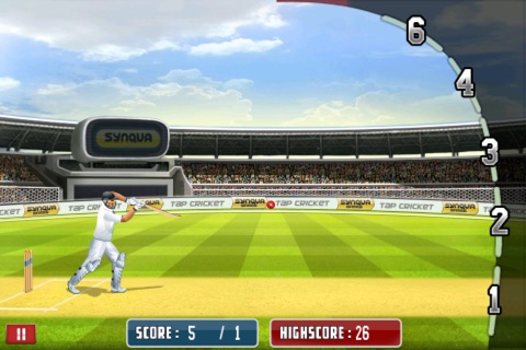 Tap Cricket 2012 screenshot 3