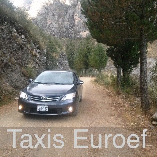 Taxi Euroef icon