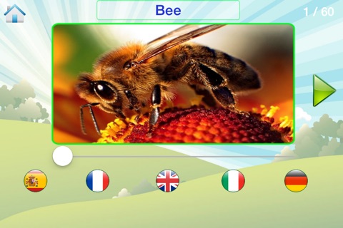 Animal Sound And Name - How To Call Them In English, French, Spanish, German and Italian screenshot 2