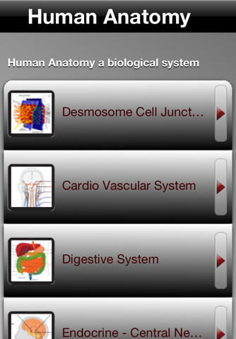 Human Anatomy! screenshot 2