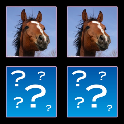 Horse Match HD Icon