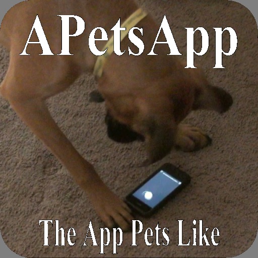 A Pet's App