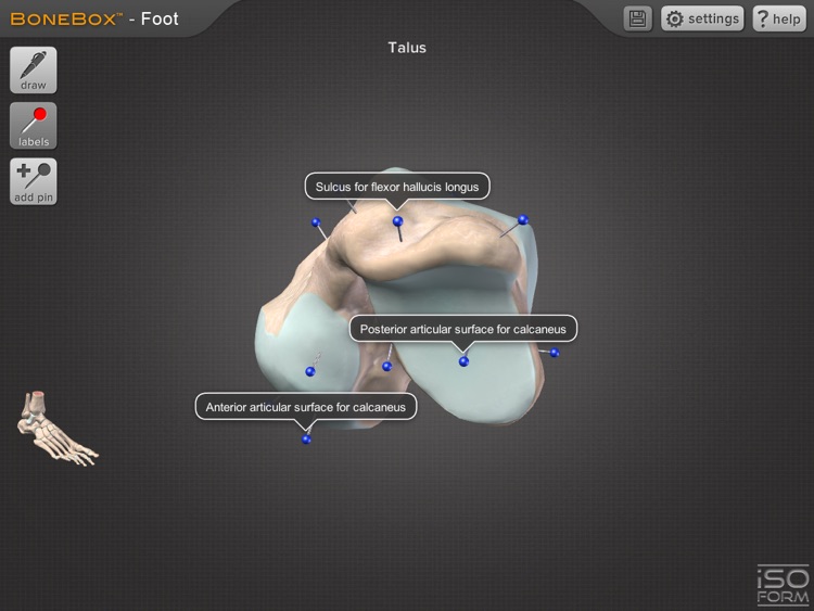 BoneBox Foot screenshot-4