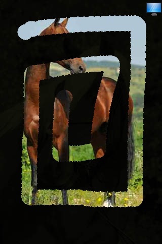 Lovely Horses screenshot-3