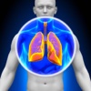 X-Ray 3D Anatomy Pro