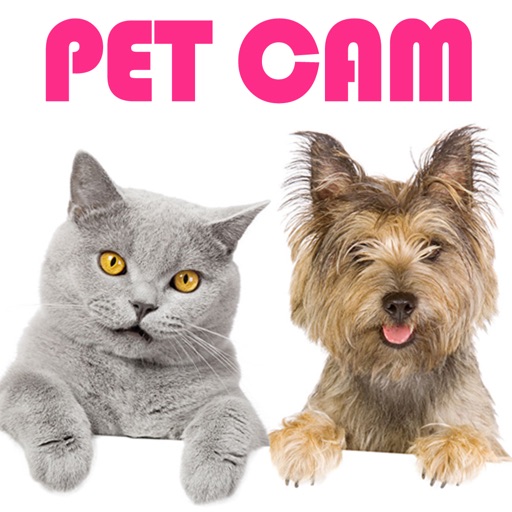 Pet Cam HD