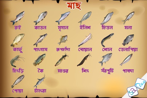 Bengali Fish screenshot 2