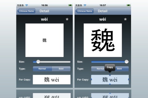 Chinese Name PINYIN screenshot 4