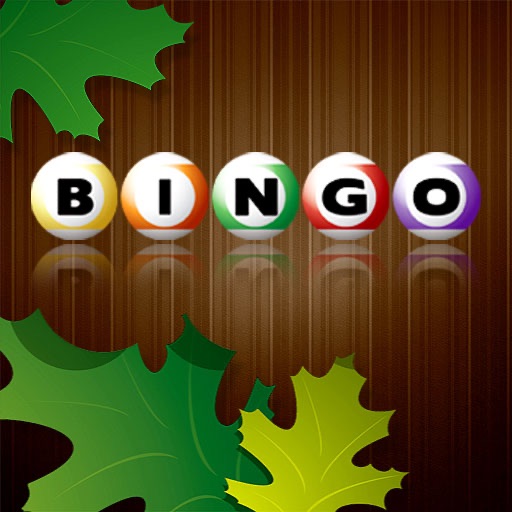 Bingo Tips icon