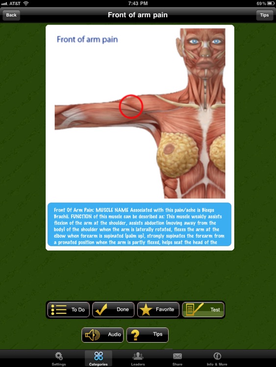 Muscle Trigger Points Doctor for iPad