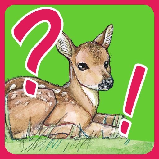Kids' Quiz – Baby Animals icon