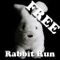 Rabbit Run Lite