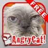 AngryCat Free - The Angry Cat Simulator