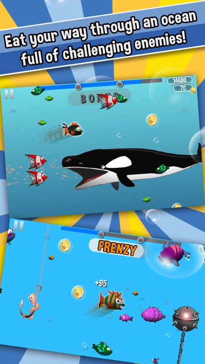 Mr. Fishie screenshot-4