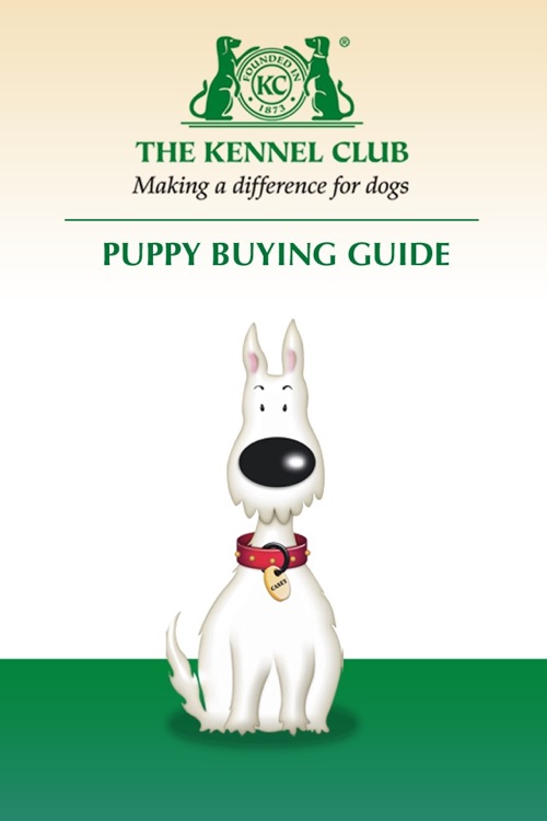 Kennel Club Puppy Buying Guide by Fetch Digital Ltd