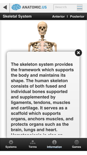 Anatomy Atlas Free